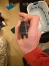 IMG_0348.jpeg