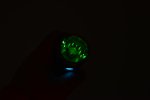 DSC_1042.JPG