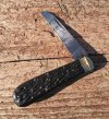KIMG2757~2.JPG
