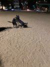 IMG_5684.jpeg