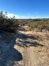 IMG_5147.jpeg