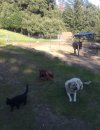 IMG_8550.jpeg