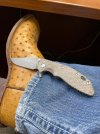 IMG_7429.jpeg