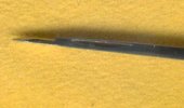 Cut Co Mani A 2.jpg