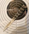 IMG_2892.jpeg