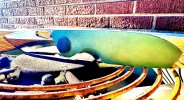 IMG_0048.jpeg