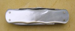 IMGP7919.JPG