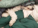 IMG_20250104_081514962.jpg