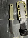 IMG_3618.jpeg