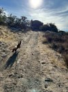 IMG_5275.jpeg
