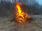 IMG_0295.jpeg