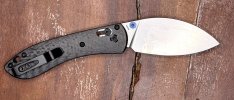 Vosteed Mini-Nightshade B.jpg