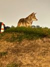 IMG_5714.jpeg
