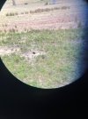 IMG_6798.jpeg