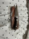 IMG_8081.jpeg