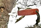 IMG_0056.jpeg