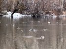 IMG_0567.jpeg