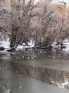 IMG_0548.jpeg
