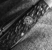 IMG_8401.jpeg