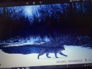 IMG_0172.jpeg