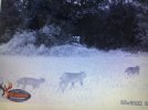IMG_7730.jpeg