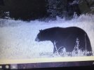 IMG_7731.jpeg