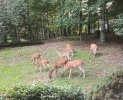 IMG_1312.jpg