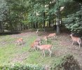 IMG_1310.jpg