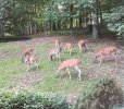IMG_1311.jpg