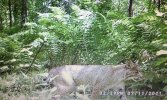 IMG_6074.jpeg