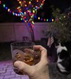 IMG_7276.jpeg