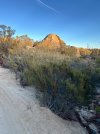 IMG_5446.jpeg