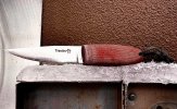 IMG_0067.jpeg