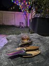 IMG_7273.jpeg