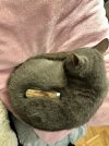 IMG_4914.jpeg