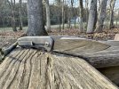 IMG_1158.jpeg