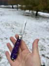 IMG_4955.jpeg