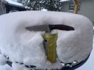 IMG_1347.jpeg