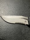 IMG_1536.jpeg
