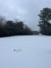 IMG_4602.jpeg
