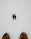 3E5BB697-07DC-4346-9F08-60BA32ED586B.jpeg