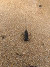 IMG_6852.jpeg