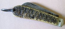 Illegible Sheffield Pruner 1.jpg