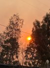 IMG_5770.jpeg