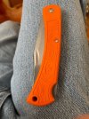 IMG_8916.jpeg