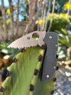 IMG_5967.jpeg