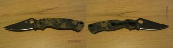 PM2-01.jpg