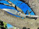IMG_0098.jpeg
