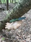 IMG_5383.jpeg