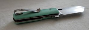 Turquoise BZ open right blade focus.jpg